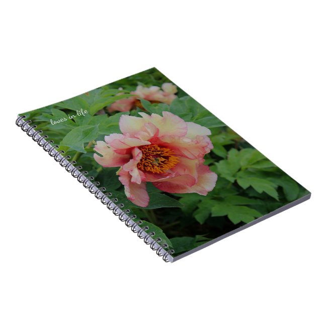 Cuaderno Elegante Peony de tono rosado (Lado Derecho)