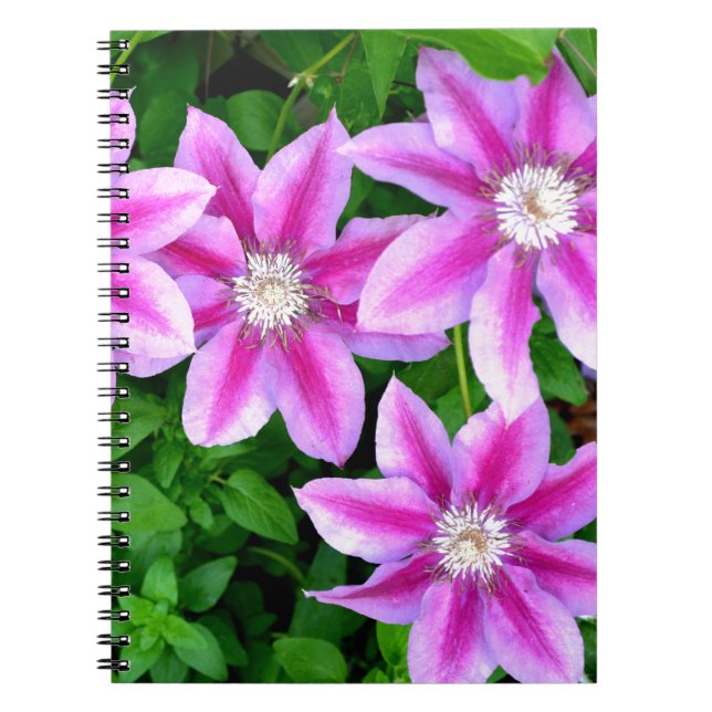 Cuaderno Elegante rosa floral verde botánico (Frente)