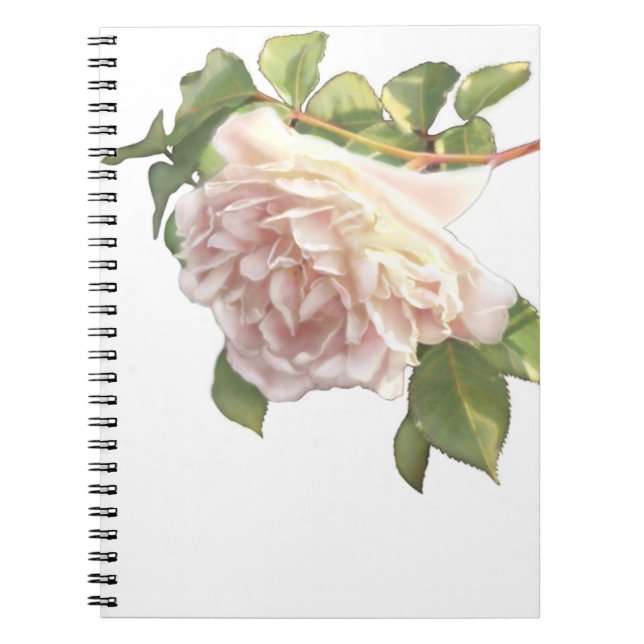 Cuaderno Elegante y polvoriento rosa naranja floral blanco (Frente)