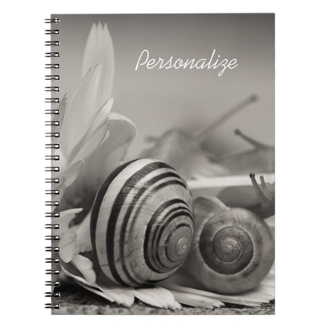 Cuaderno Elegantes Caracoles Jardín En Gerbera Daisy Con No (Frente)