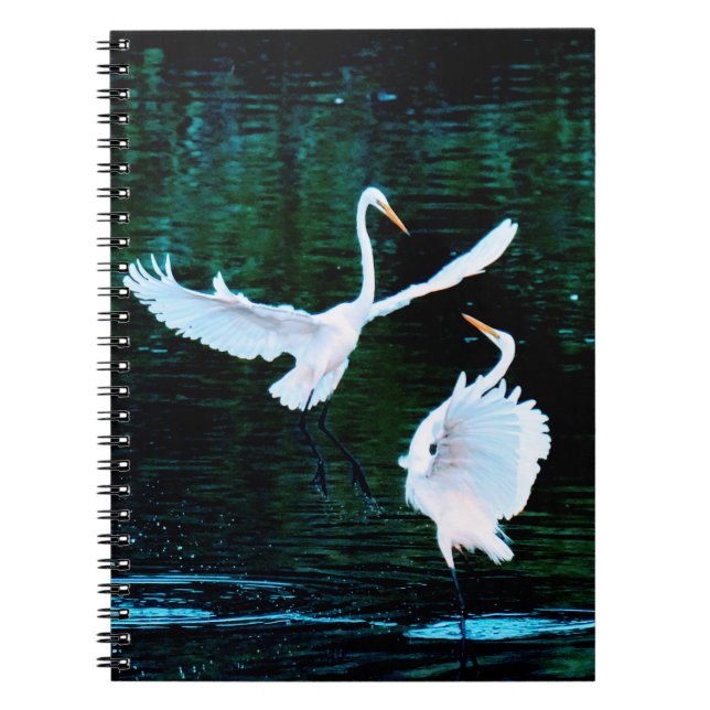 Cuaderno Elegantes Egredientes De Baile (Frente)