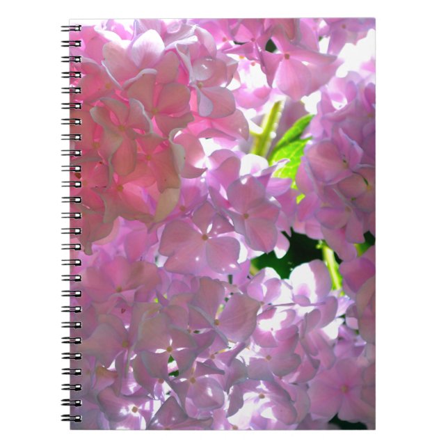 Cuaderno Elegantes flores de boho rosa flores hortensias (Frente)
