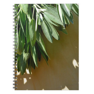 Cuaderno Elegantes hierbas botánicas verdes dejan sabio