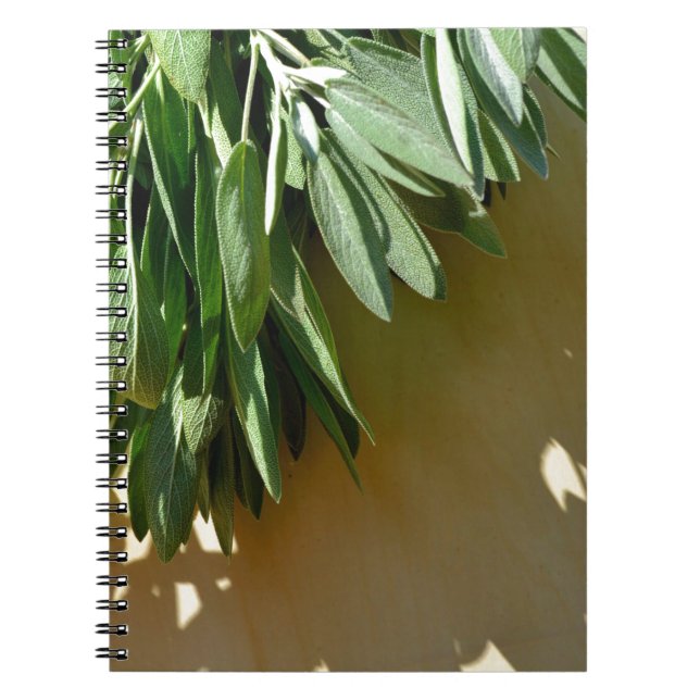 Cuaderno Elegantes hierbas botánicas verdes dejan sabio (Frente)