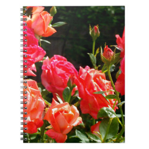 Cuaderno Elegantes naranjas rojos  rosas florales