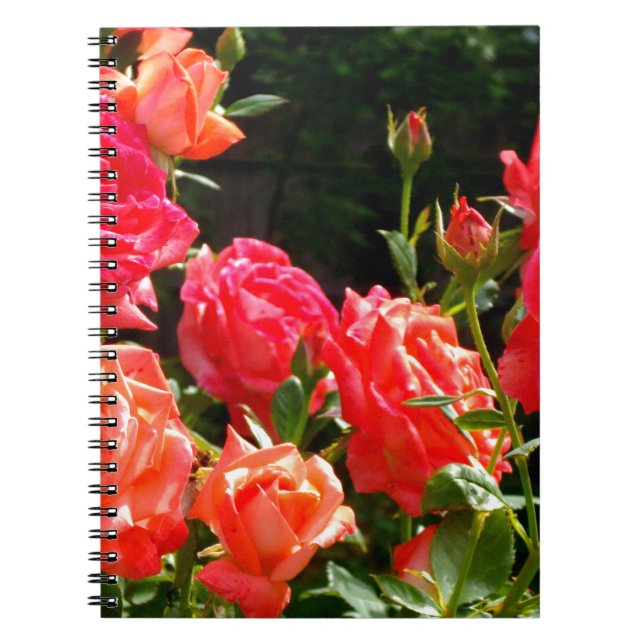 Cuaderno Elegantes naranjas rojos  rosas florales (Frente)