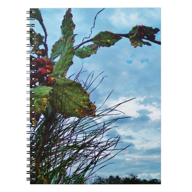 Cuaderno Elegantes Navidades Holly, cielo azul (Frente)