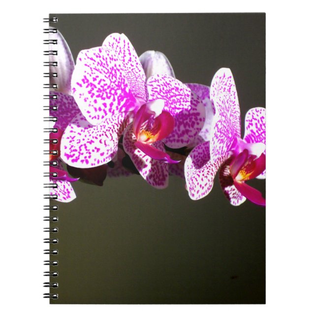 Cuaderno Elegantes orquídeas rosa floral tropical rosa (Frente)