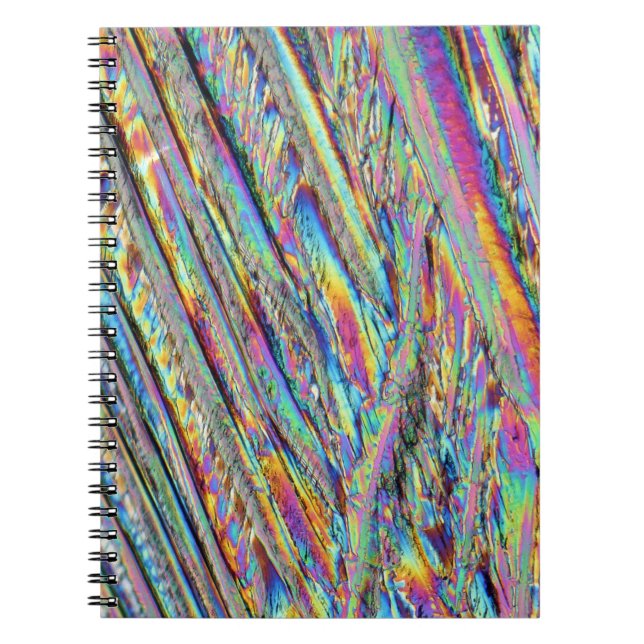Cuaderno Elementos/magnesio debajo del microscopio (Frente)
