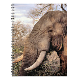 Cuaderno Elephant Lovers Wildlife