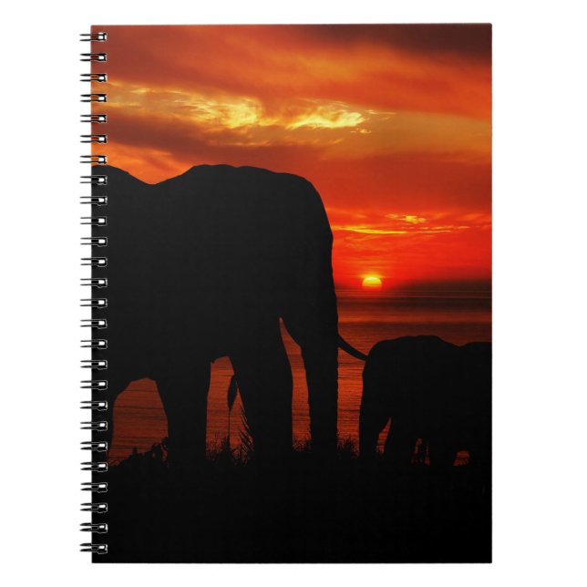 Cuaderno Elephants at Sunset (Frente)