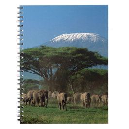 Cuaderno Elfantes del Monte Kilimanjaro