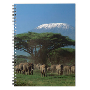 Cuaderno Elfantes del monte Kilimanjaro