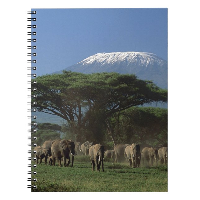 Cuaderno Elfantes del Monte Kilimanjaro (Frente)