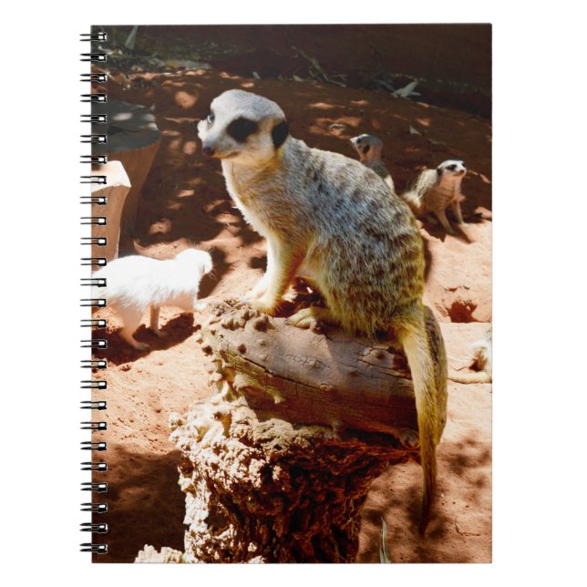 Cuaderno Eliza Queen Of The Meerkats, Notebook (Frente)