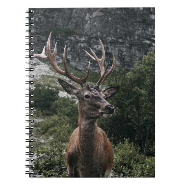 CUADERNO ELK STACK DEER (Frente)