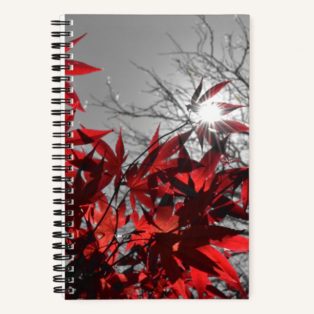 Cuaderno Embers of Autumn (Anverso)