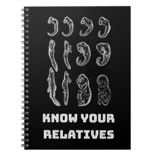 Cuaderno Embriogénesis de la evolución