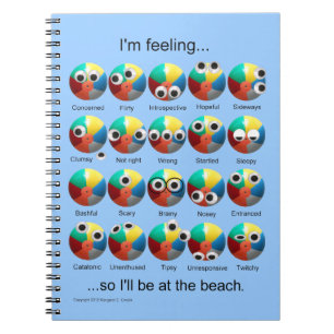 Cuaderno Emociones de Beach Ball