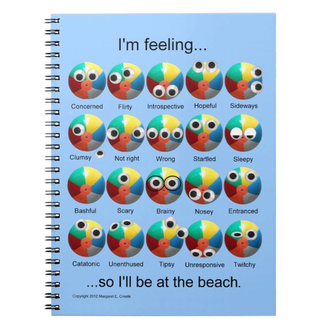 Cuaderno Emociones de Beach Ball (Frente)