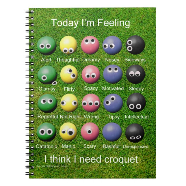 Cuaderno Emociones de croquet (Frente)