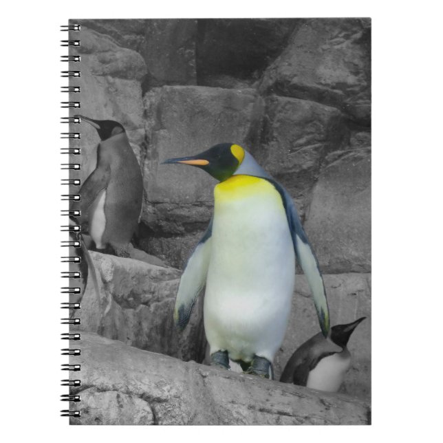 Cuaderno Emperador Penguin (Frente)