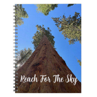 Cuaderno en blanco con secuoyas de Yosemite