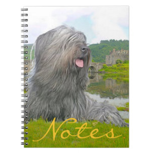 Cuaderno En Eilean Donan