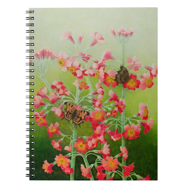 Cuaderno En el 2011 rosado (Frente)
