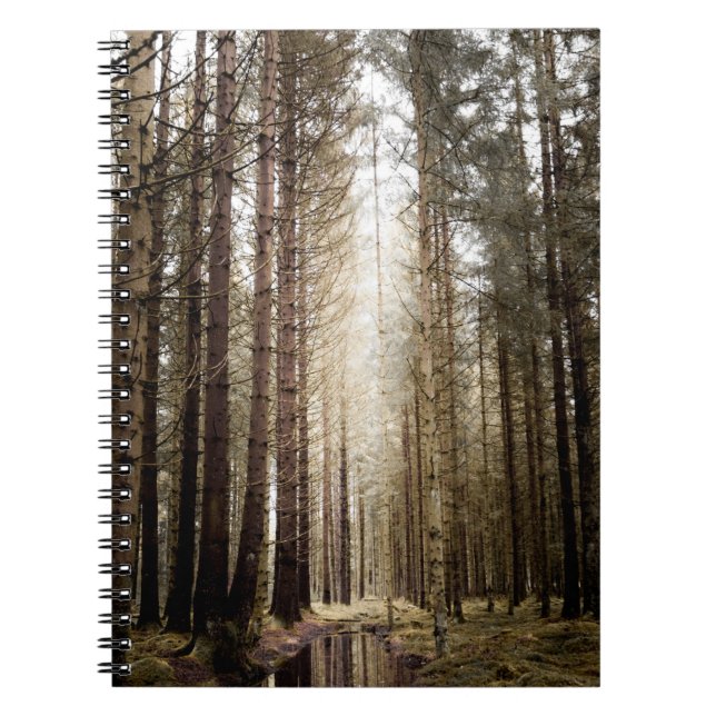 CUADERNO EN EL BOSQUE (Frente)