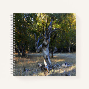 Cuaderno En el bosque......