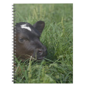 Cuaderno En el zodiaco chino, 2009 es un año de buey.