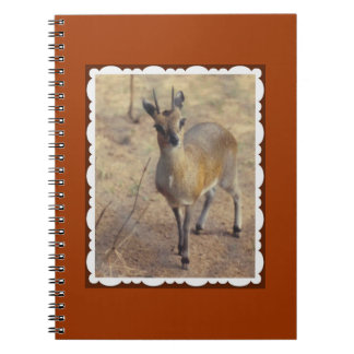 Cuaderno en el zoológico