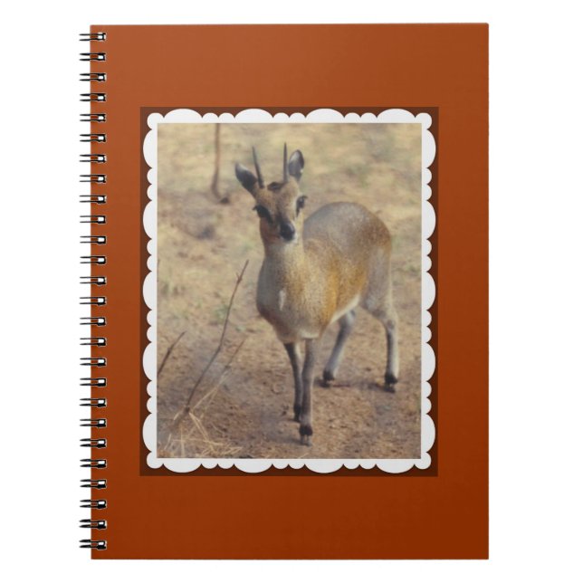 Cuaderno en el zoológico (Frente)
