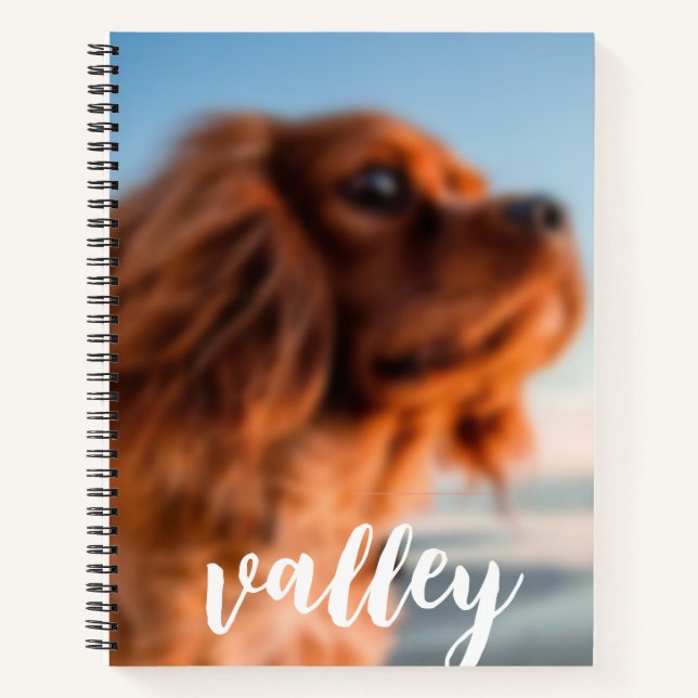 Cuaderno en espiral (Anverso)