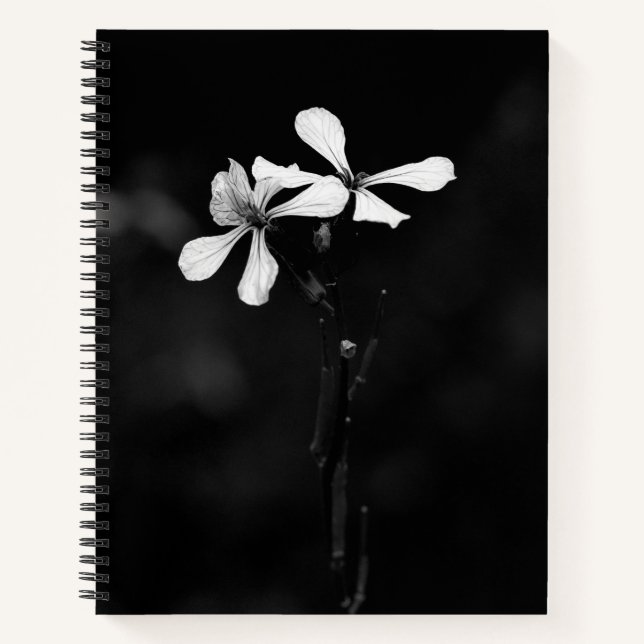 Cuaderno en espiral (Anverso)