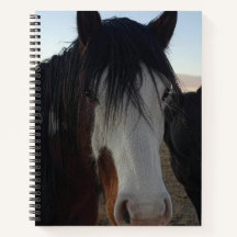 Cuaderno en espiral Cabello en los ojos