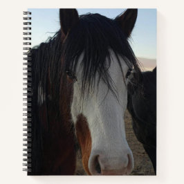 Cuaderno en espiral Cabello en los ojos