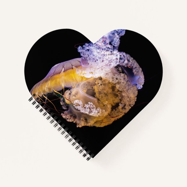 Cuaderno en espiral con forma de corazón (Anverso)