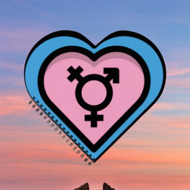Cuaderno en espiral Corazón del Orgullo Trans (Subido por el creador)