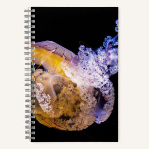 Cuaderno en espiral de 5,5" x 8,5"