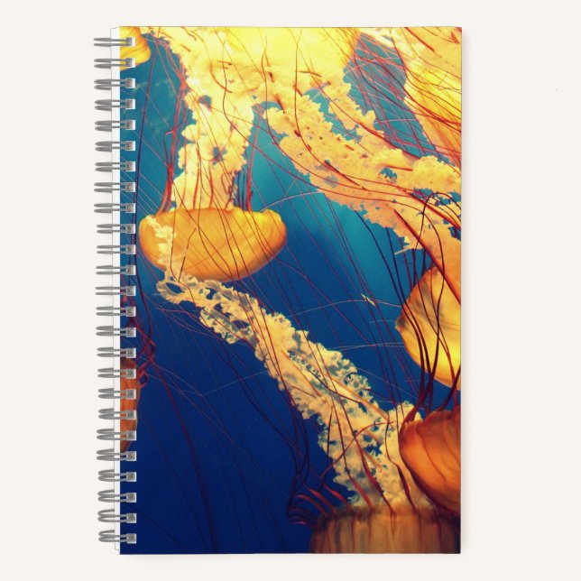 Cuaderno en espiral de 5,5" x 8,5" (Anverso)