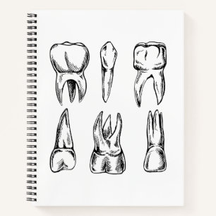 Cuaderno en espiral de anatomía dental vintage, Od