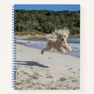 Cuaderno en espiral de Caniche