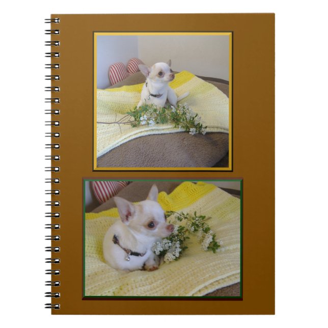 Cuaderno en espiral de Chihuahua de flor (Frente)