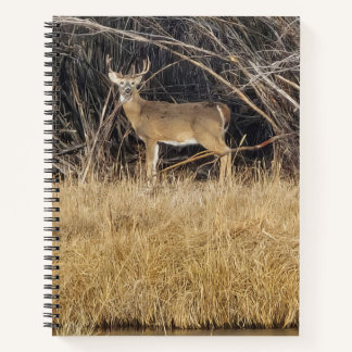 Cuaderno en espiral de ciervos en la espesura