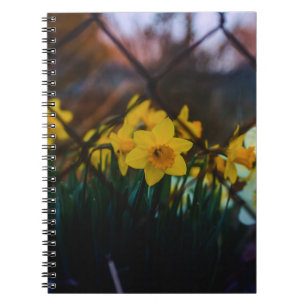 Cuaderno en espiral de fotografía artística de nar