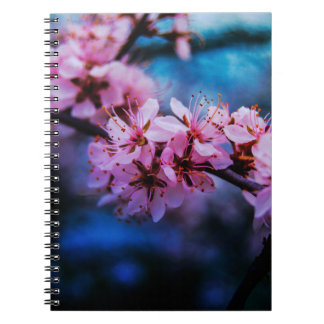 Cuaderno en espiral de fotografía de arte fino de 