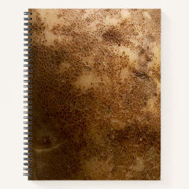Cuaderno en espiral de fotografía de cerca de pata