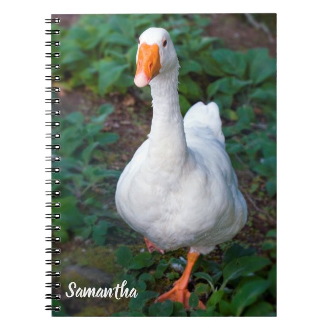 Cuaderno en espiral de ganso (Frente)